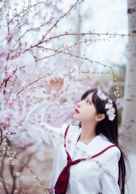在人间电视剧免费观看全集完整版